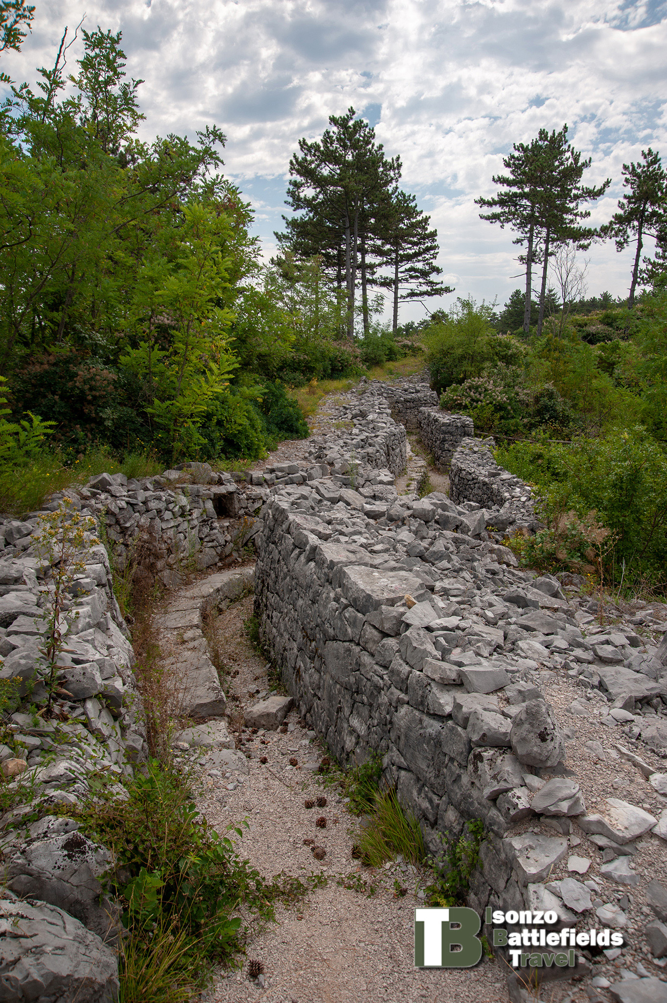 Brestovec-1