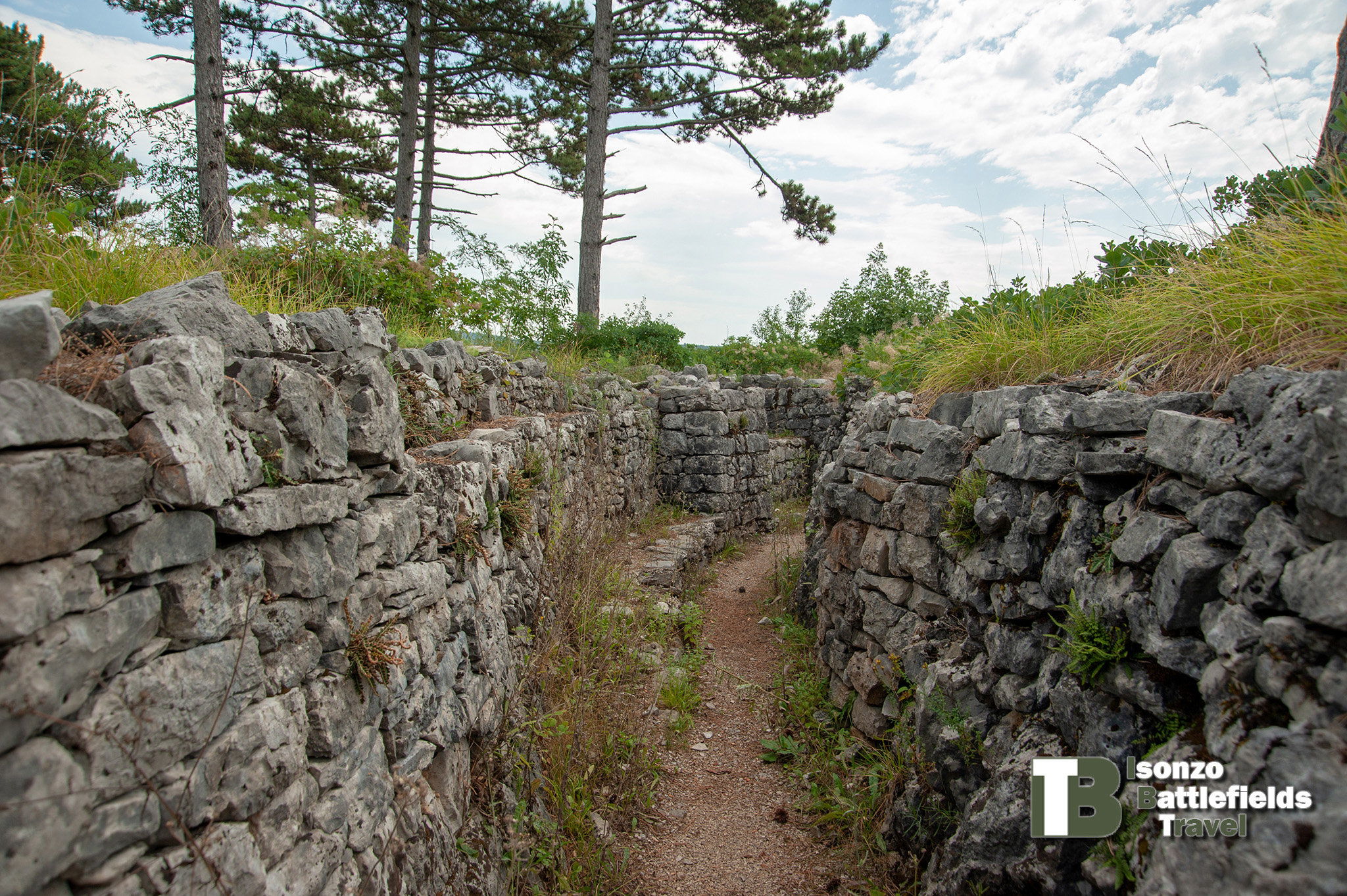 Brestovec-2