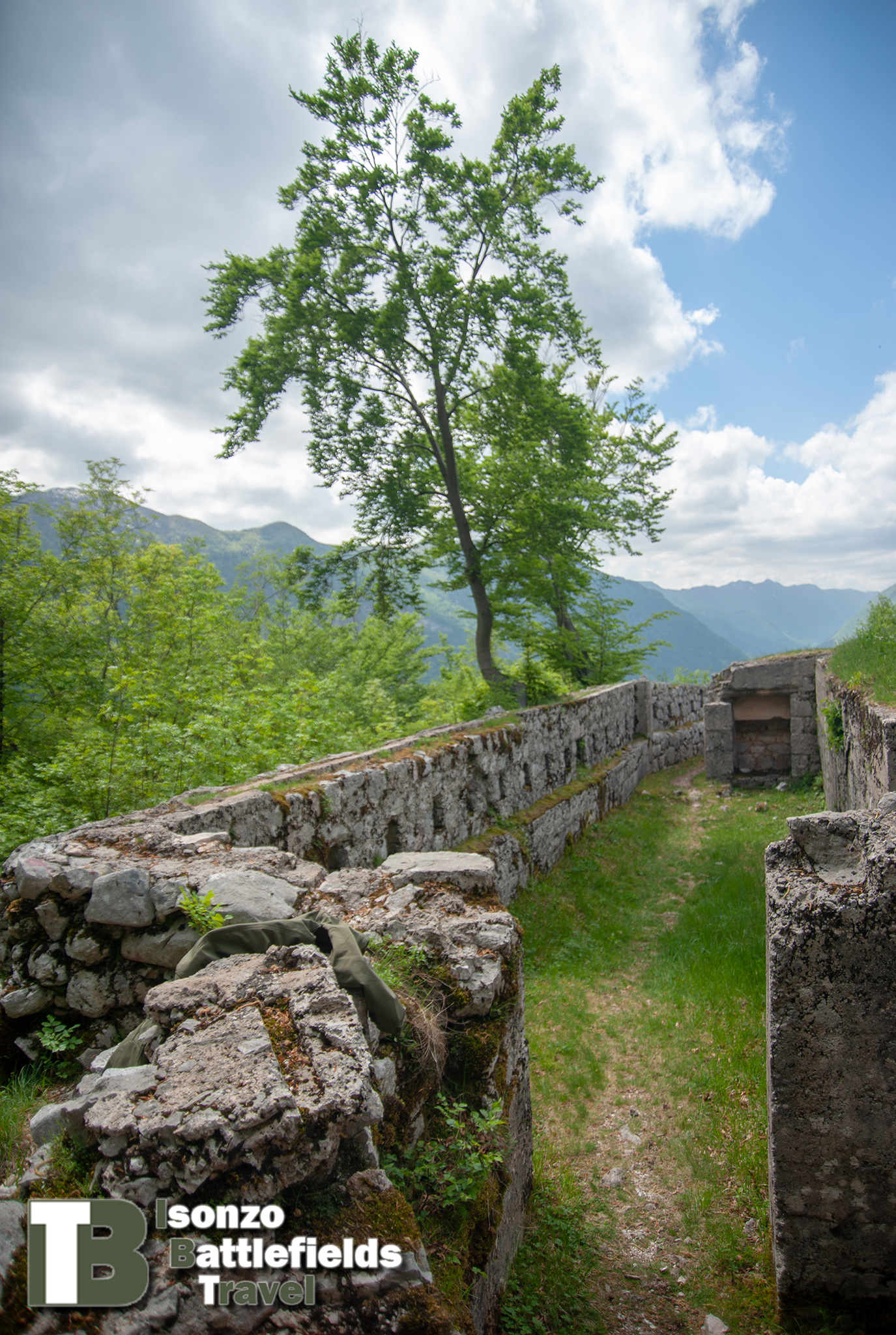 IBT_201805-10