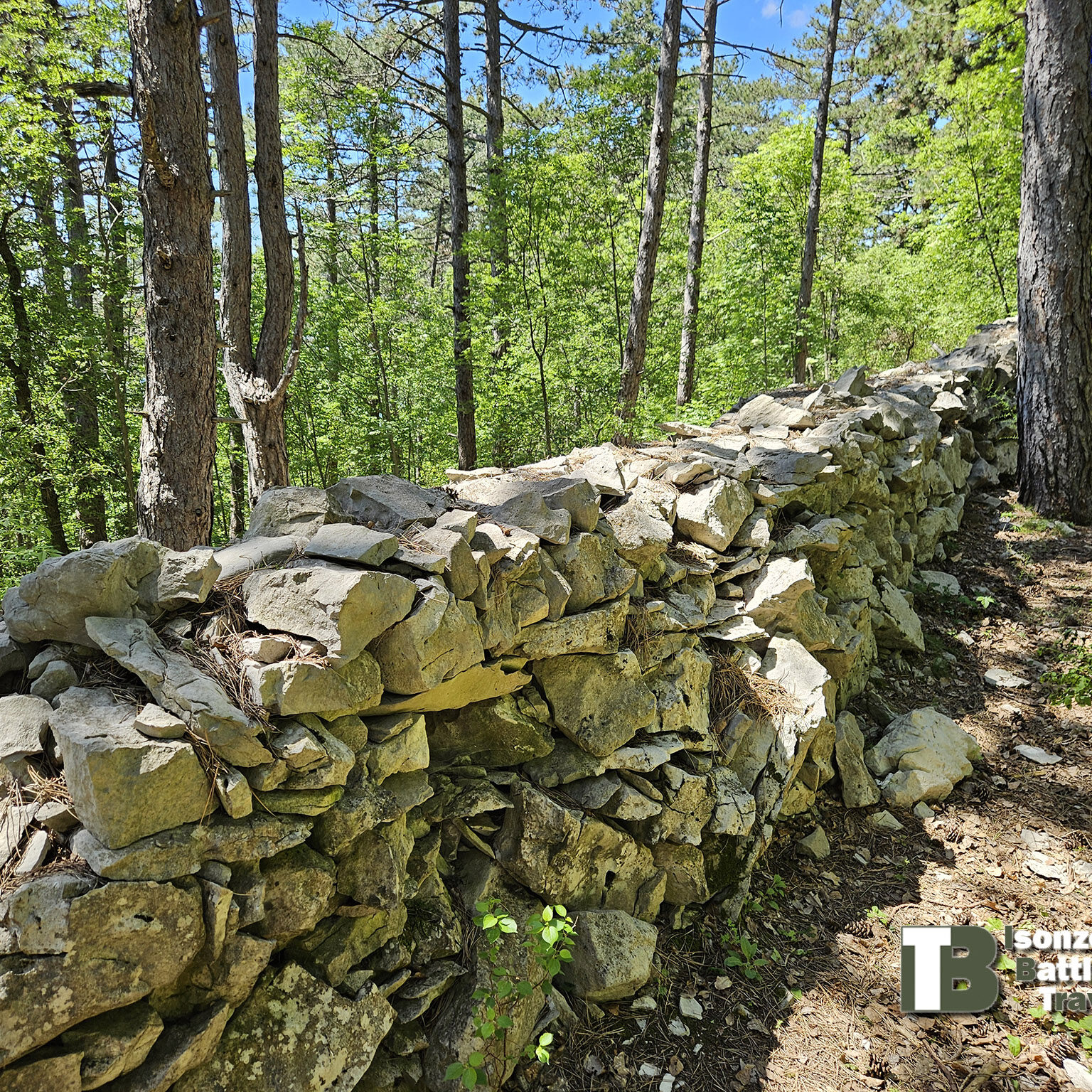 20250430_132829