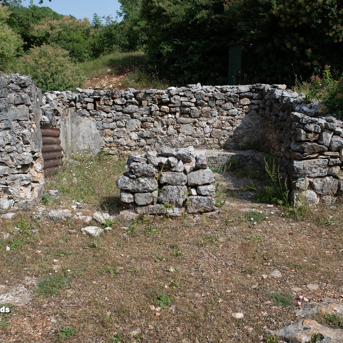 Dolina500-17