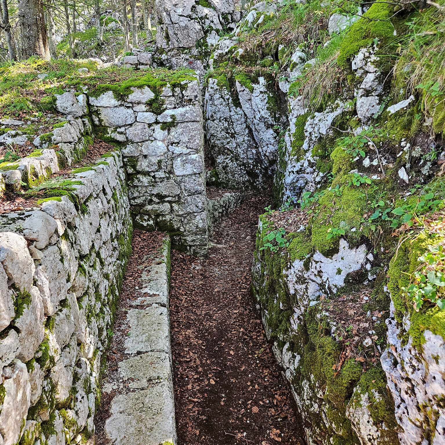 Zaprikraj-16