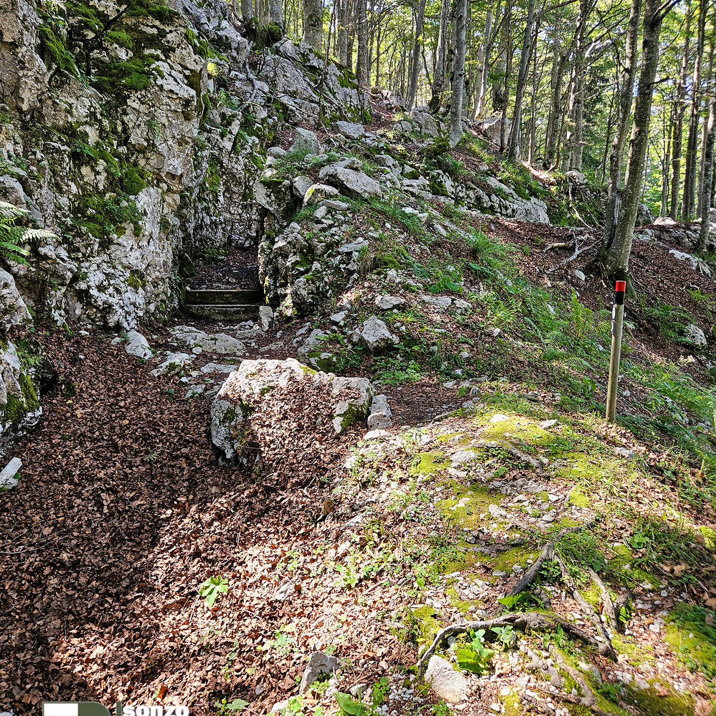 Zaprikraj-17