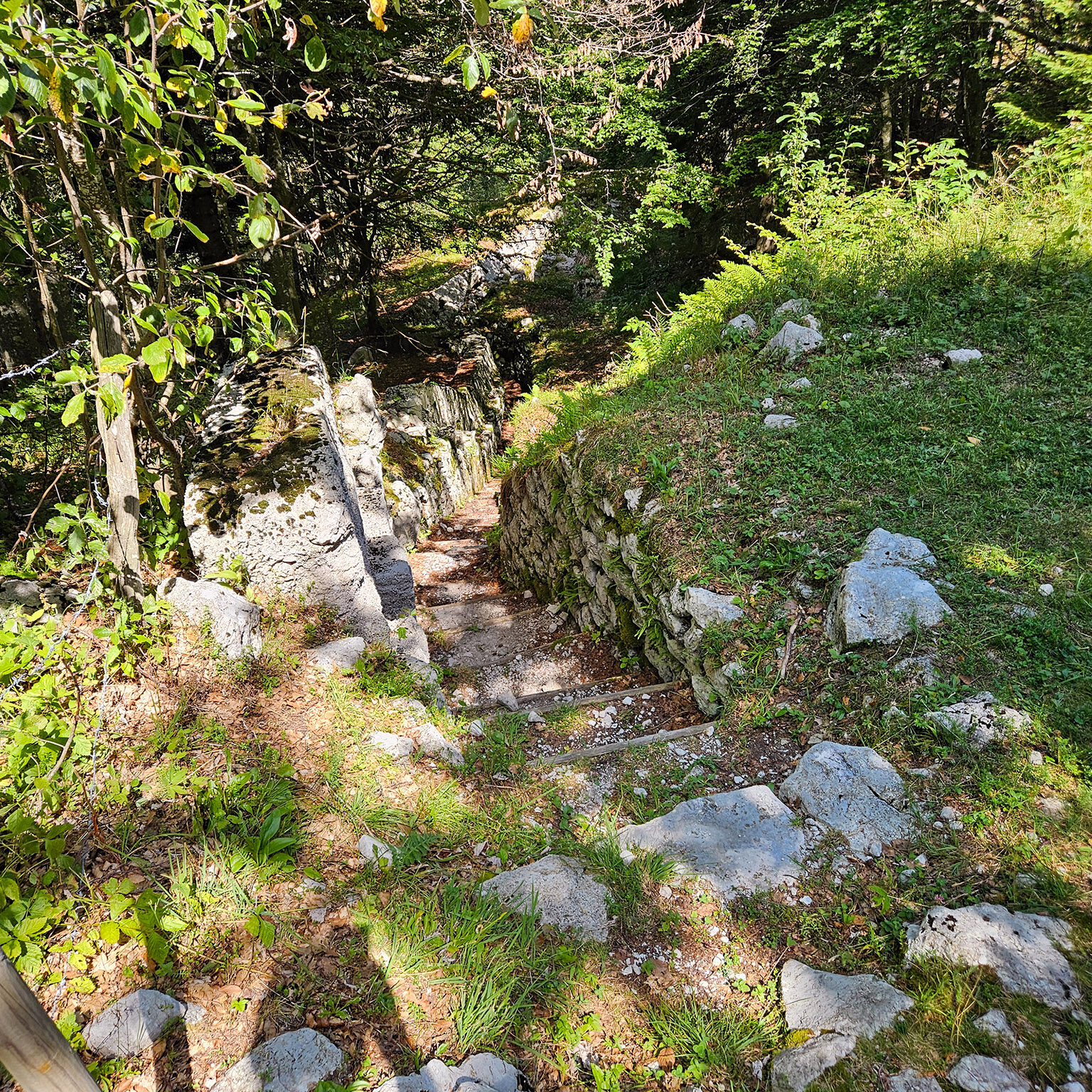 Zaprikraj-18