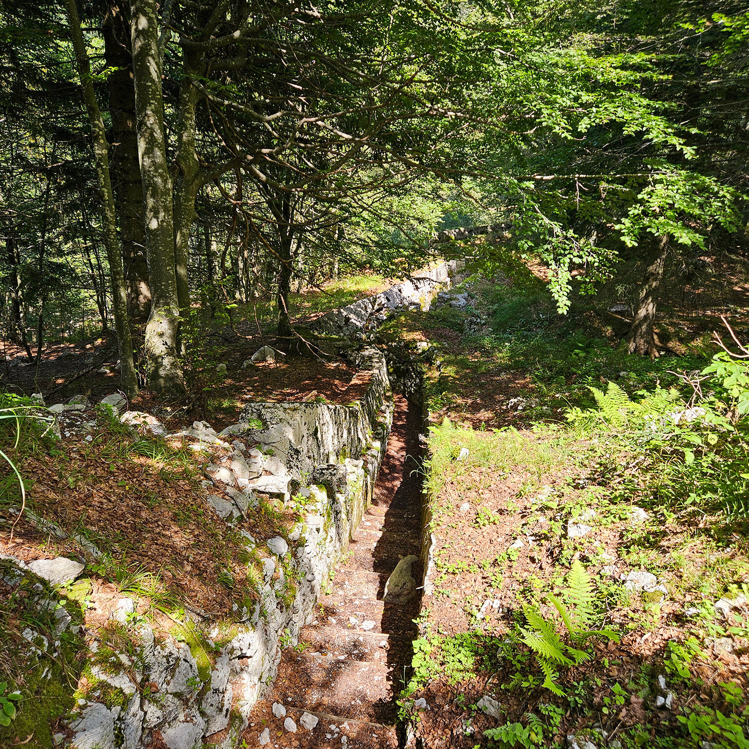 Zaprikraj-19