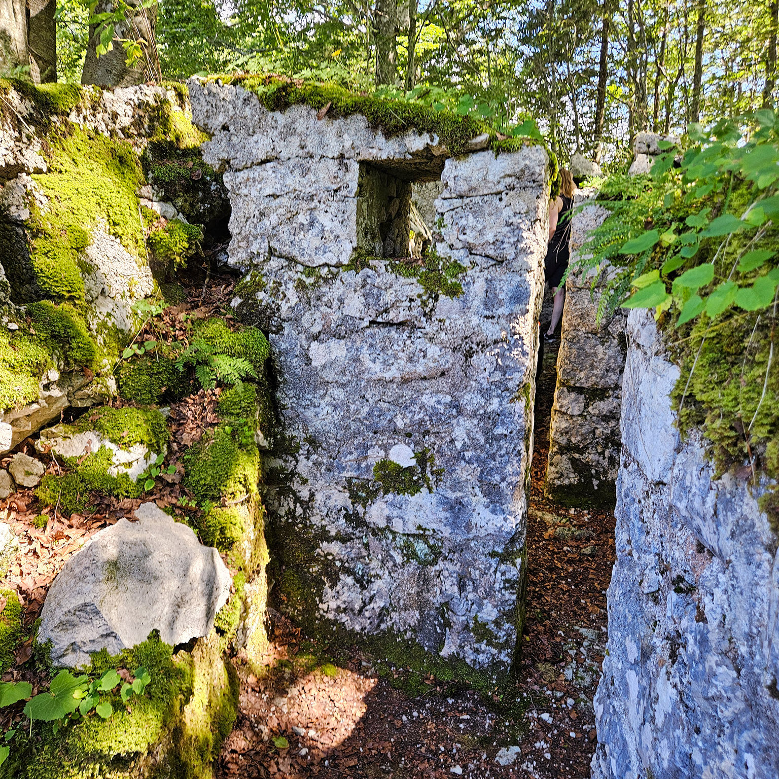 Zaprikraj-21