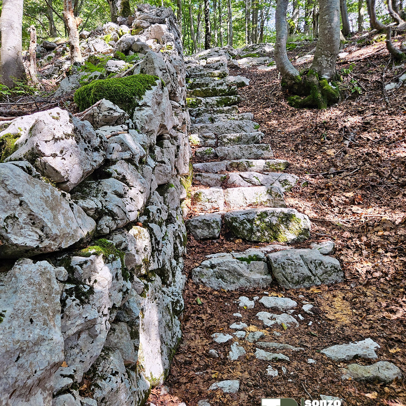 Zaprikraj-29
