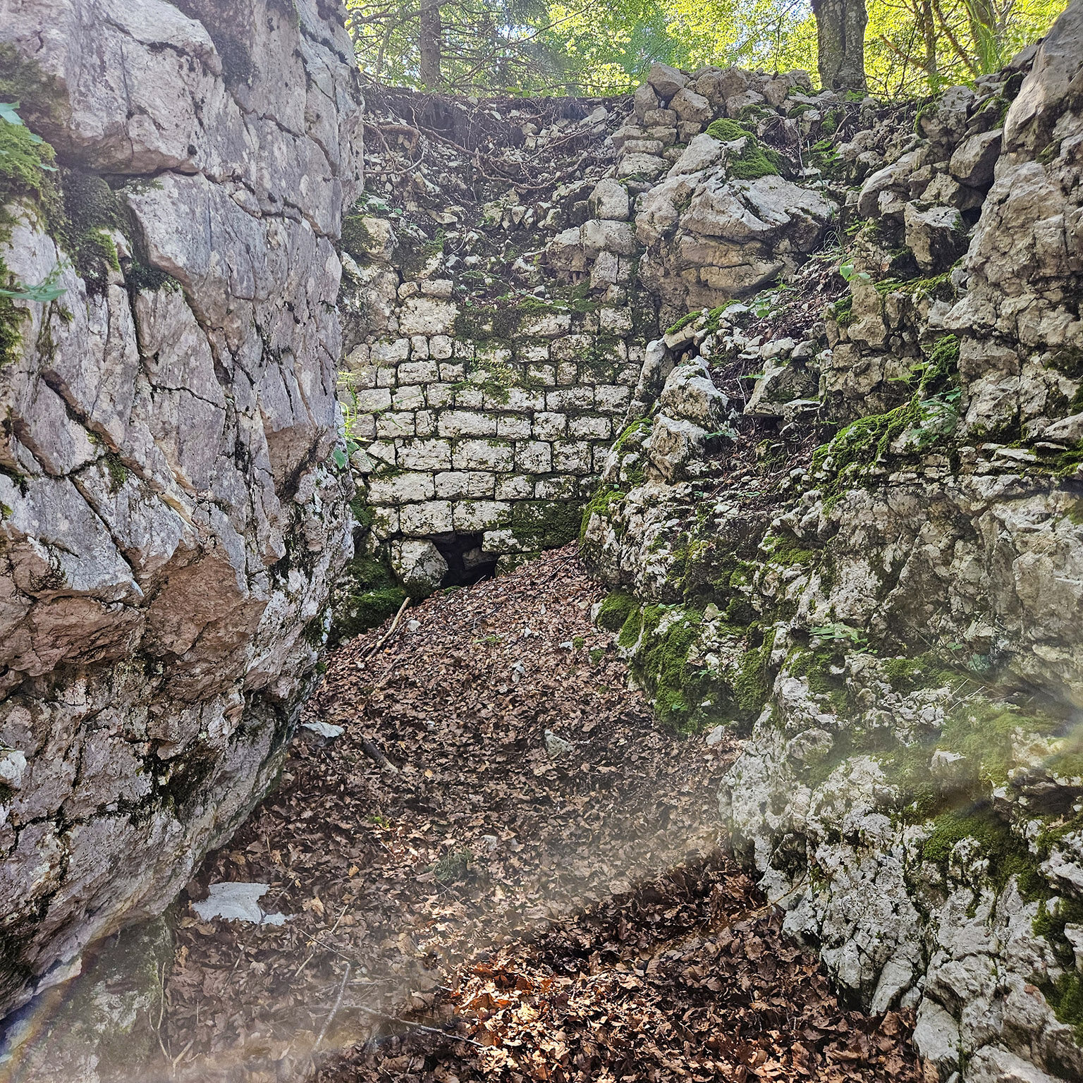 Zaprikraj-7