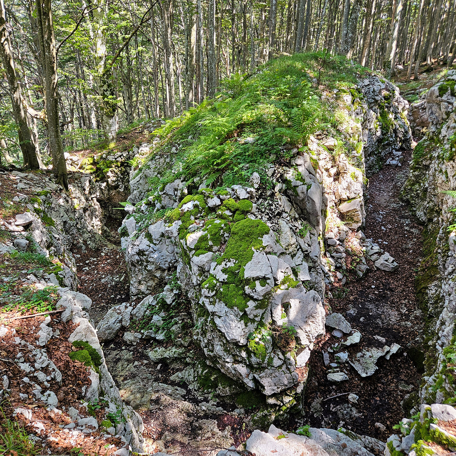 Zaprikraj-9