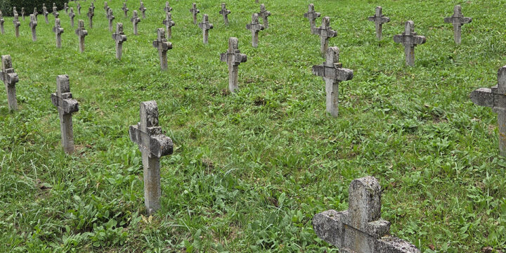 Oostenrijks-Hongaars militaire begraafplaats WW1, Oševljek