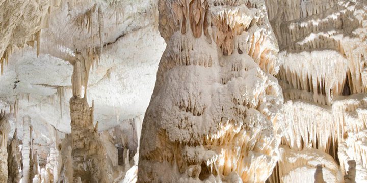 Postojnska Caves