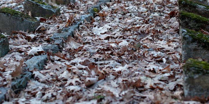 Komen, Oostenrijks-Hongaars militaire begraafplaats WW1