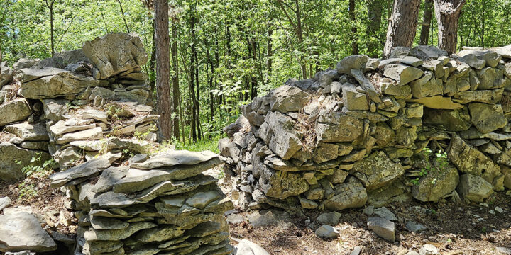 Coastland Trench Park (Contovello/Kontovel/Park 40)